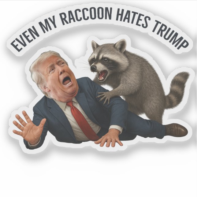 Adesivo Funny Even My Raccoon Loves Trump 2025 Anti-Trump  (Frente)