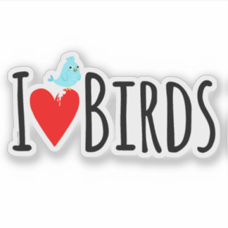 Adesivo Funny I Love Birds