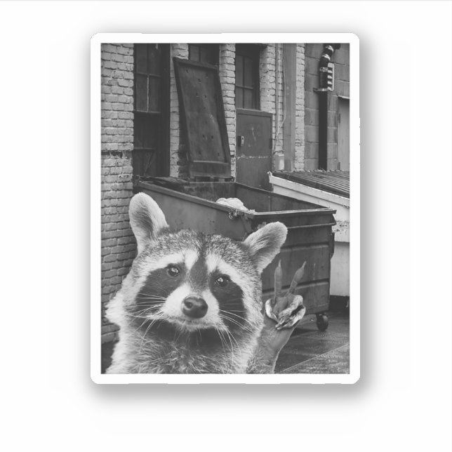 Adesivo Funny Raccoon Selfie Raccoon Funny Raccoon (Frente)