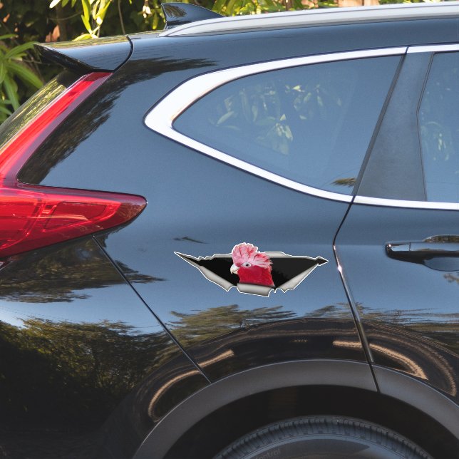 Adesivo Galah Cockatoo Sticker – Pink Parrot Bird Decal (Lado do carro)