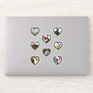 Adesivo Galinhas de Natal em Mortes Cardíacas