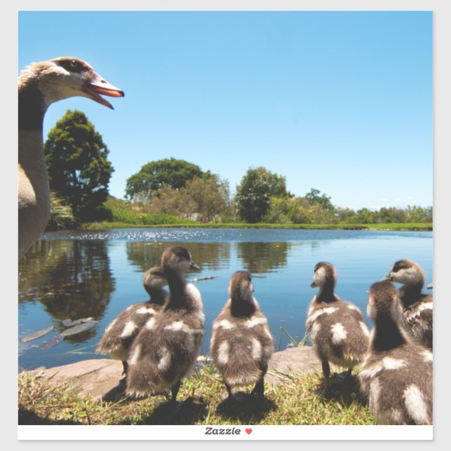 Adesivo Gansos egípcios (Folha)