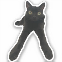gato bigfootjinx