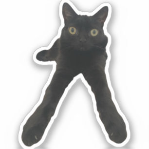 Adesivo gato bigfootjinx