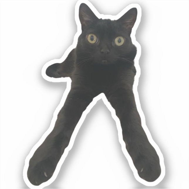 Adesivo gato bigfootjinx (Frente)
