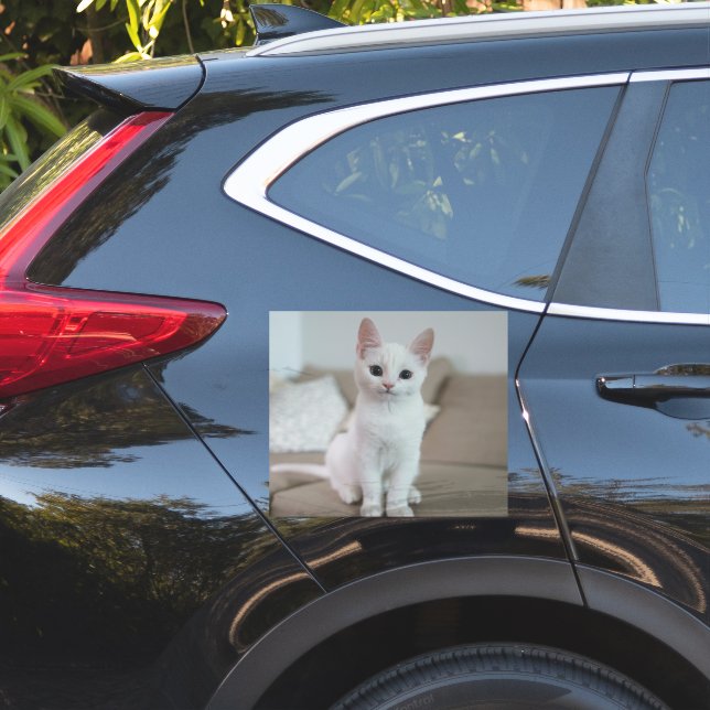 Adesivo Gato branco | Zazzle_Growth. (Lado do carro)