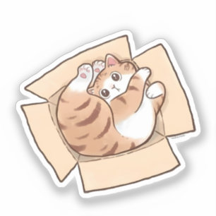 Adesivo Gato Calico Fofo em Caixa de Papelão