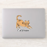 Gato de Gata Ilustrado