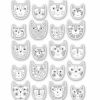 Gato de Gatinhos Brancos e Pretos