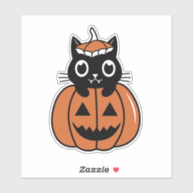 Gato de Halloween na abóbora