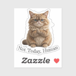 Adesivo Gato Engraçado "Hoje Não, Humano" Engraçado Memóri