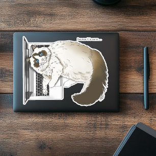 Adesivo Gato Fofinho Ragdoll Laptop Lavanda Engraçado