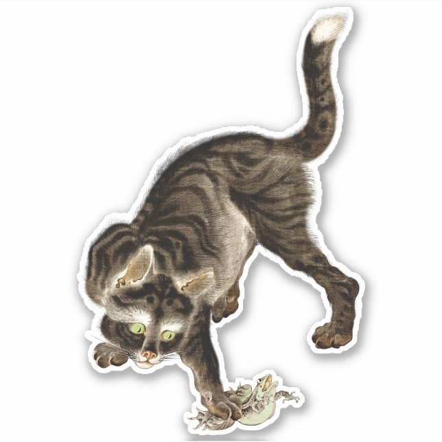 Adesivo Gato Japonês Captando um Sapo (Frente)