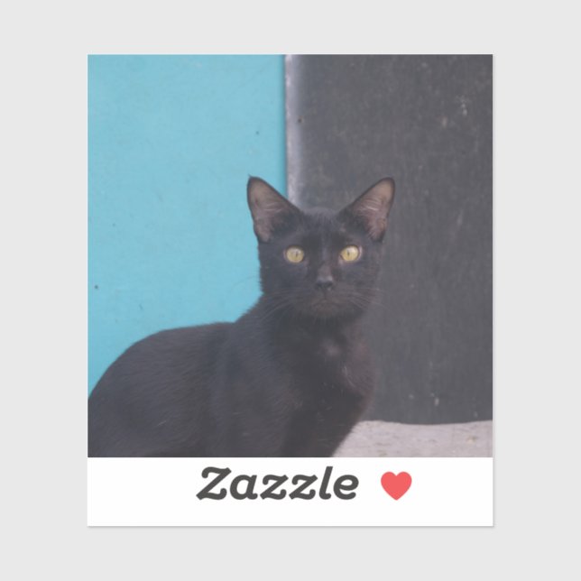 Adesivo Gato Preto Surpreso (Folha)