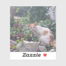 Adesivo Gato Sentado em uma Borracha de Pedras