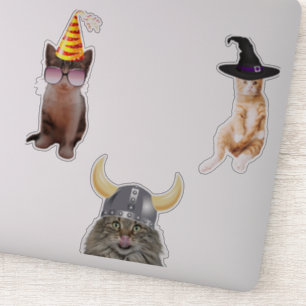 Adesivo Gato Vestindo chapéu