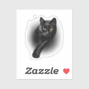 Adesivo Gatos de T-Shirt de Olhos Amarelos de Gato Negro