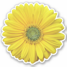 Adesivo Geleia Amarelo Daisy Flower Kiss-Cut Sticker