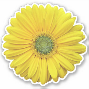 Adesivo Geleiro Amarelo Daisy Flower Kiss-Cut Sticker