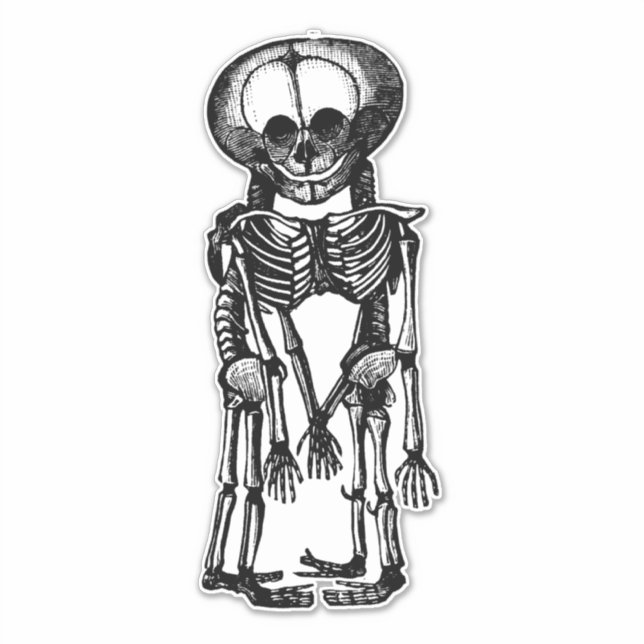 Adesivo gêmeos siameses esqueletos arte de anatomia infant (Frente)