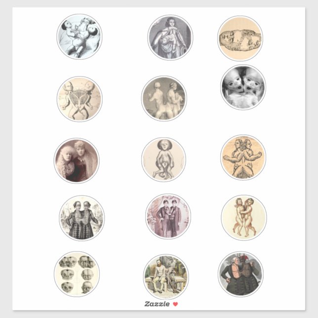 Adesivo Gêmeos siameses siameses siameses siris Sideshow F (Folha)