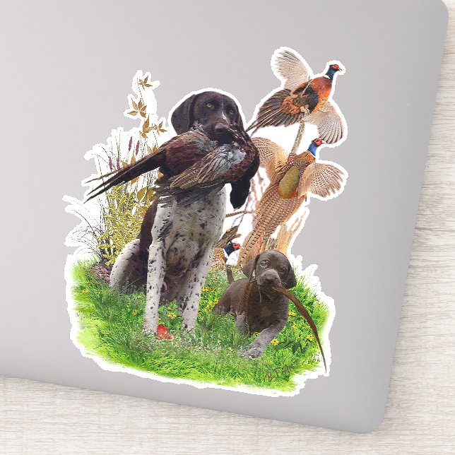 Adesivo German Shorthaired Pointer    Sticker (Detalhe)