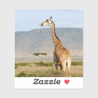 Adesivo Giraffe Africa