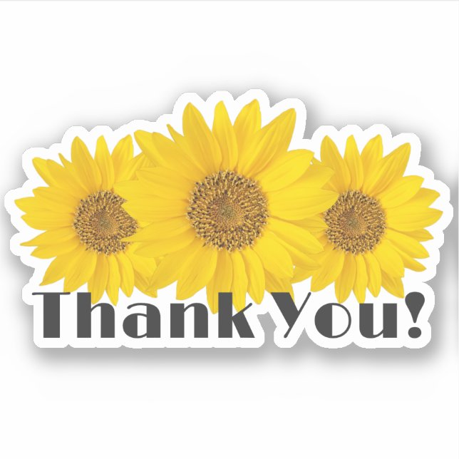 Adesivo Girassóis Amarelos Obrigado (Frente)