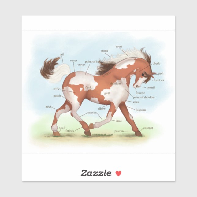 Adesivo Gráfico de Anatomia do Cavalo Skewbald Chestnut Ov (Folha)
