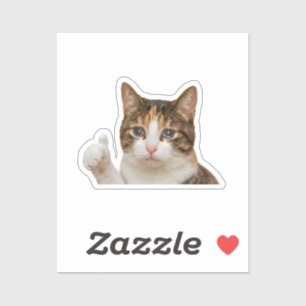 Adesivo Gráficos do Meme do Gato Chorando com Polegar para