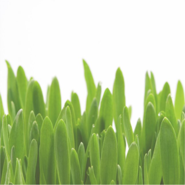 Adesivo Grama Verde (Frente)