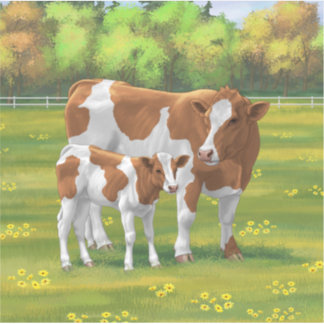 Adesivo Guernsey Cow & Cute Calf na Pastagem de Verão