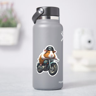 Adesivo Guineense Pig Biker sobre Moto Vintage, Viagem Rod