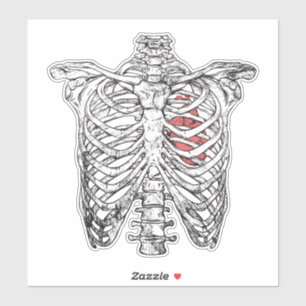 Adesivo Halloween da Ribcage e Anatomia Cardíaca