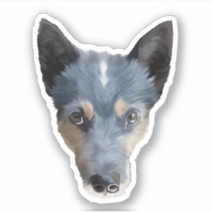 Adesivo Heeler azul/cão australiano do gado
