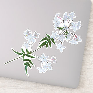 Adesivo Herb Jasmine | vinil Sticker