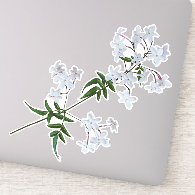 Adesivo Herb Jasmine | vinil Sticker (Detalhe)