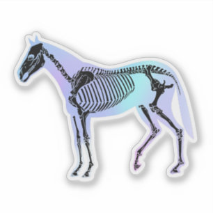 Adesivo Holographic Horse Skeleton Equine Anatomia Vet Tec