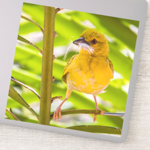 Adesivo Hora de construir o ninho