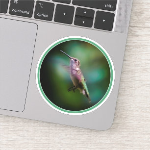 Adesivo Hummingbird com garganta de rubi - Fotografia orig