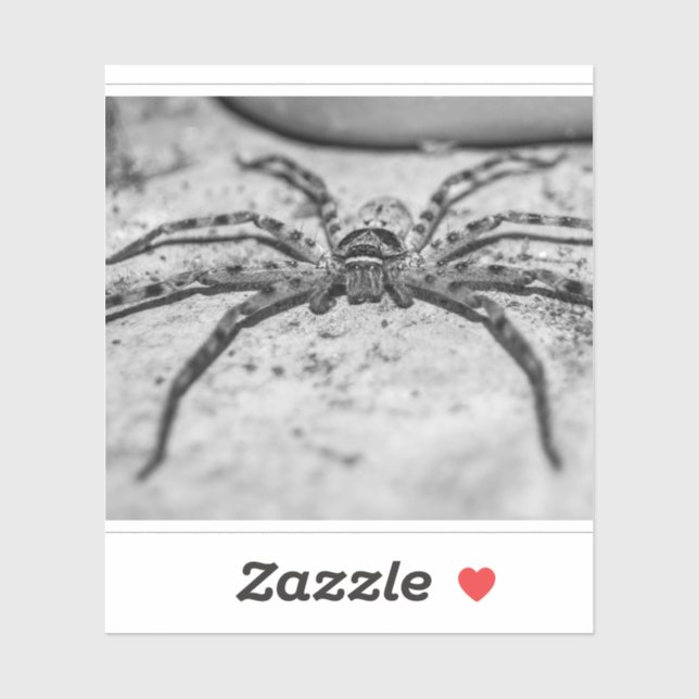 Adesivo Huntsman Spider (Folha)