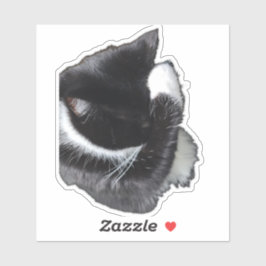 Adesivo I Can't Even Right Meow