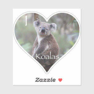Adesivo I Heart Koalas