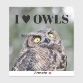 Adesivo I Love Owls Sticker
