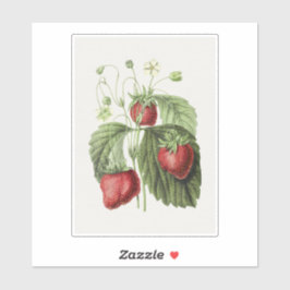 Adesivo Ilustração antiga de Frise Reine des Belges.