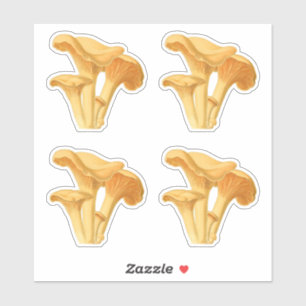 Adesivo Ilustração Botânica de Canterelle Mushroom