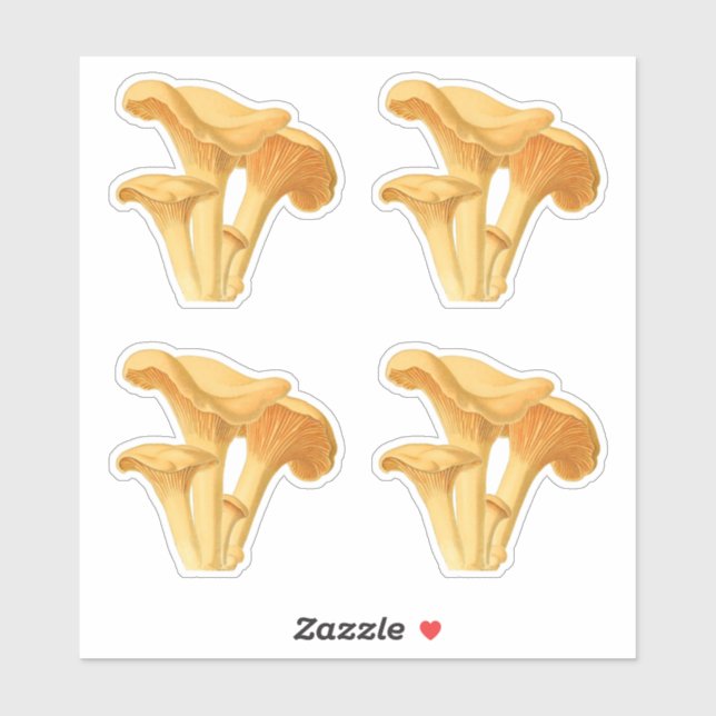 Adesivo Ilustração Botânica de Chanterelle Mushroom (Folha)