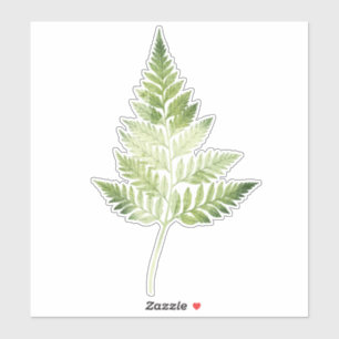 Adesivo Ilustração Botânica de Fern Verde Minimalista