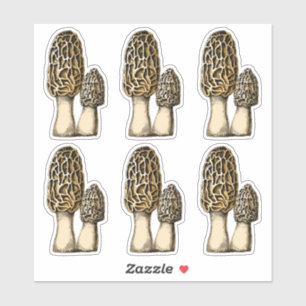 Adesivo Ilustração Botânica de Morel Mushroom