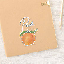 Ilustração de Fruta Pêssego Pintada Fofa